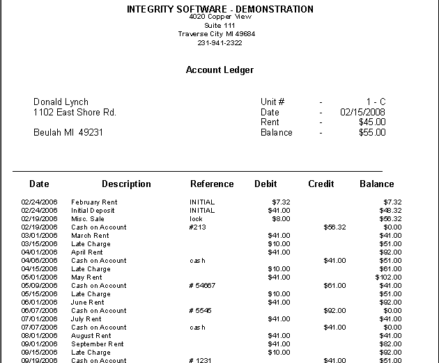 account ledger template 333