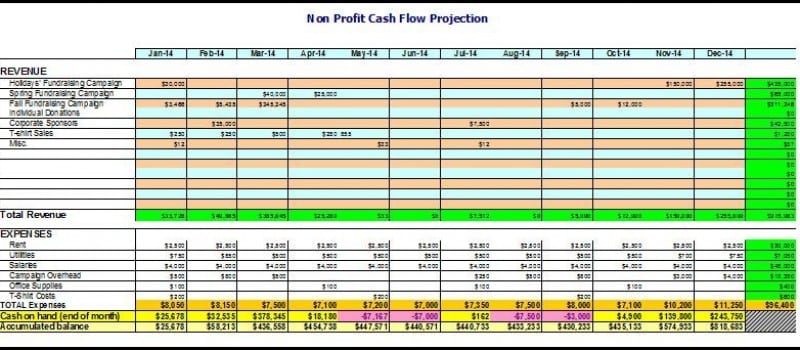 not for profit budget 3454