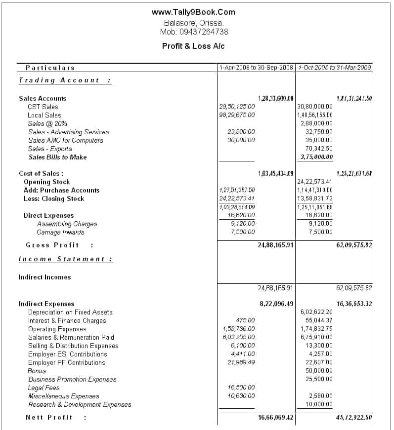 profit and loss account format 1541