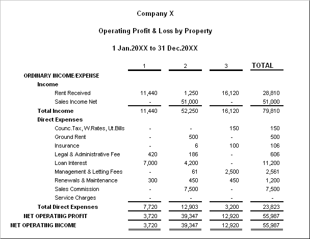 profit and loss account format 2451