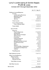 profit and loss template 666