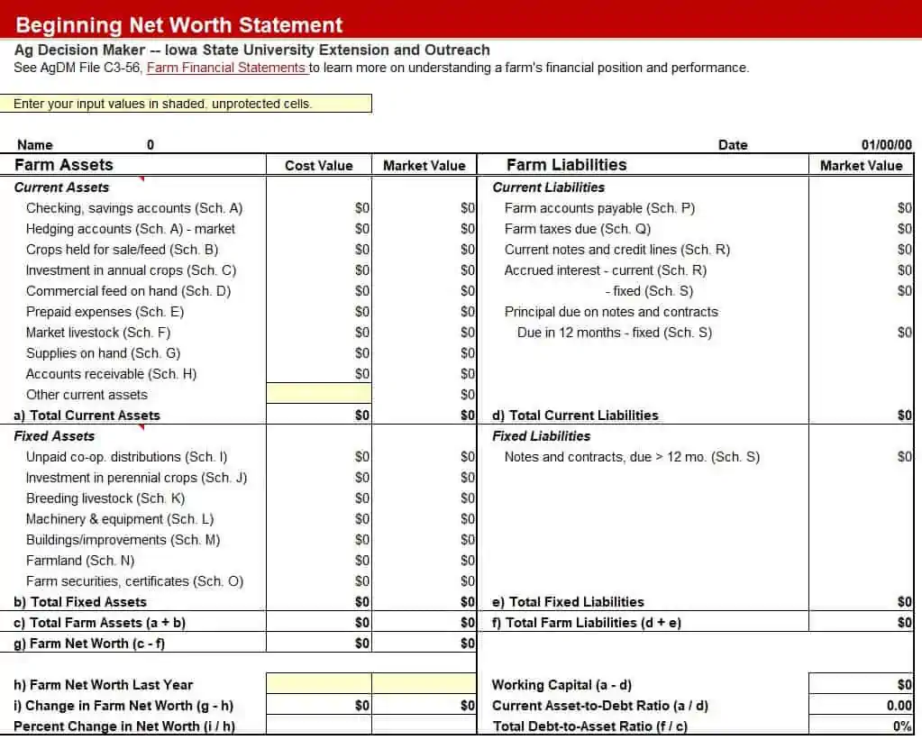 personal statement of net worth template