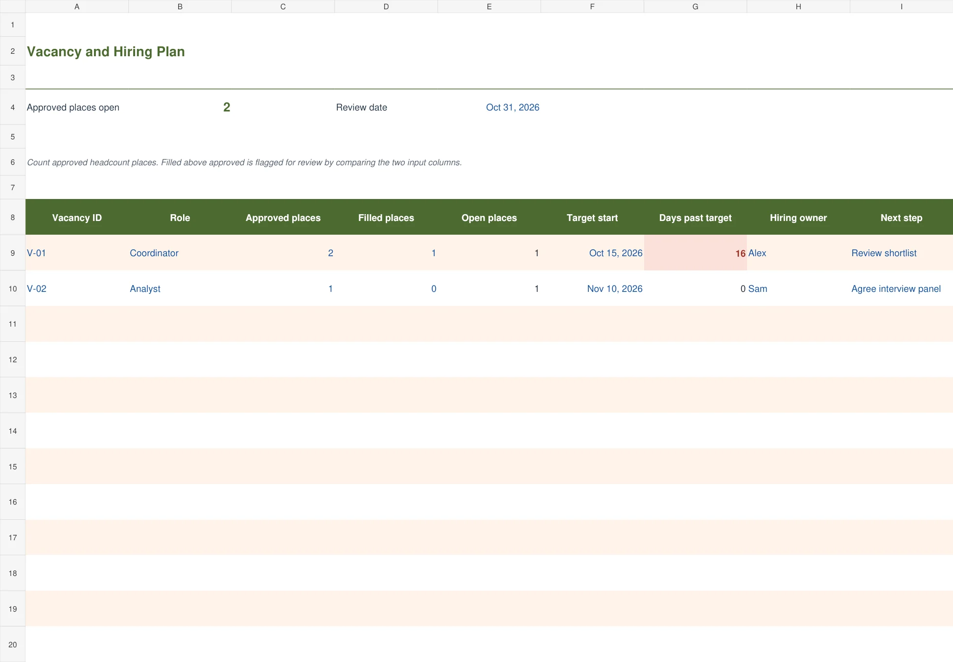 Vacancy and Hiring Plan Excel template preview with example entries and calculated results
